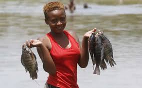 Lake Nakuru tilapia poisoned by sewage — Kemfri