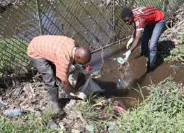 Lake Nakuru tilapia poisoned by sewage — Kemfri