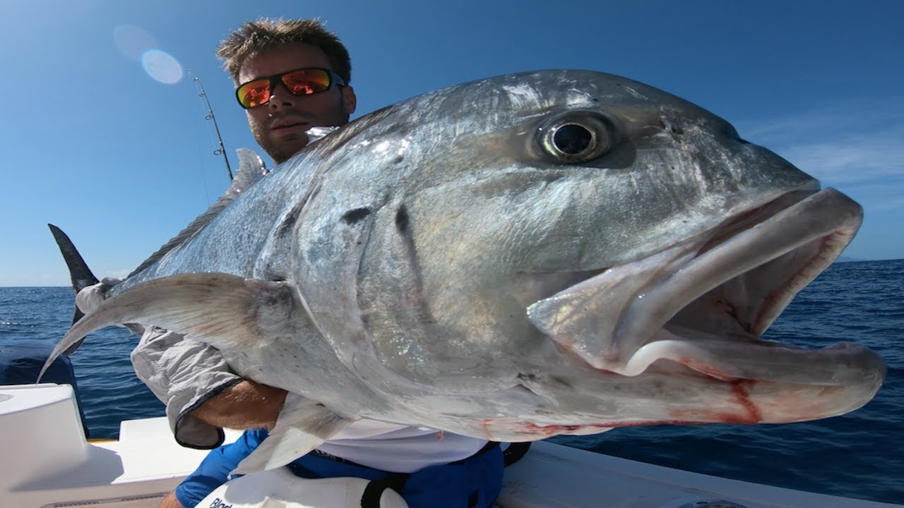 How can we conserve Seychelles giant trevallies?