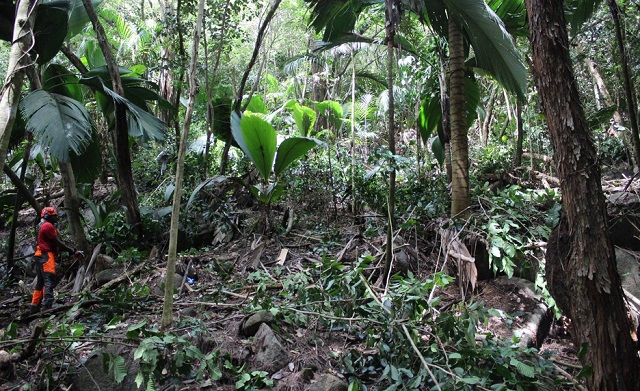 Seychelles' biggest water basin to undergo rehabilitation for better storage