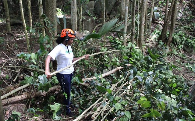 Seychelles' biggest water basin to undergo rehabilitation for better storage
