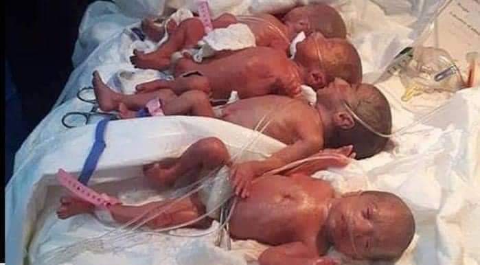 Woman in South Africa ‘gives birth to 10 babies’ just one month after record set by nonuplets in Mali