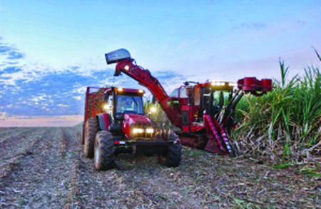 Sugar Sector Attracts Over N200b Investments – FG