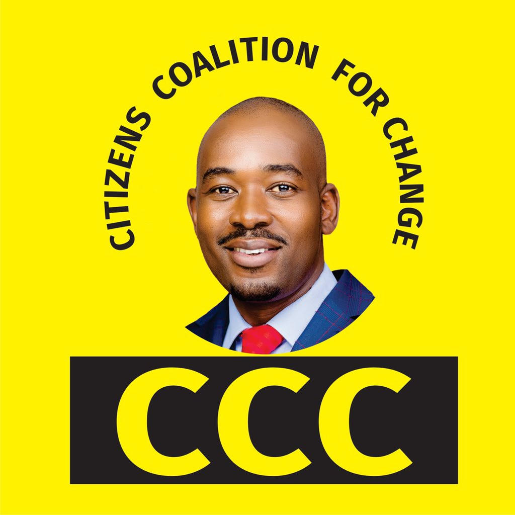 ‘Use of Chamisa face as election symbol not occultism’