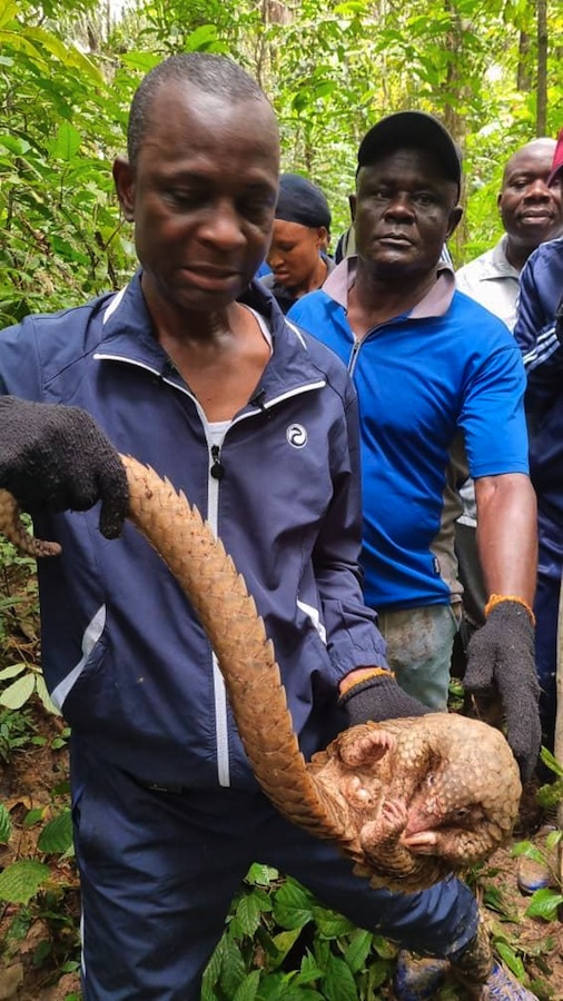 Environmentalist, Azibaola Robert Launches Campaign To Protect Rainforest, Wildlife In Bayelsa2