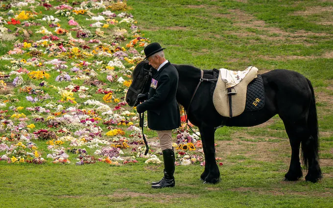 Buckingham Palace thanks Emma, Queen Elizabeth's pony, for role in funeral with new photo