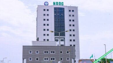 NDDC Board: Ijaw groups tackle Fed Govt on injustice