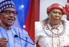 NDDC appointments: Court strikes out suit against FG