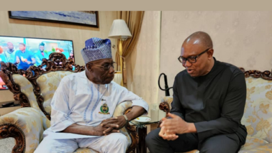 Peter Obi: God Would Have Punished Me If I Did Not Do It – Obasanjo Sends Fresh Message To Nigerians