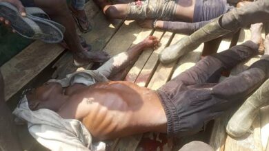 Tension In Delta State Community As Fulani Herdsmen Kill Farmer, Son, Abduct Others