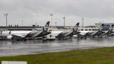 The national carrier said some international routes would continue operating.