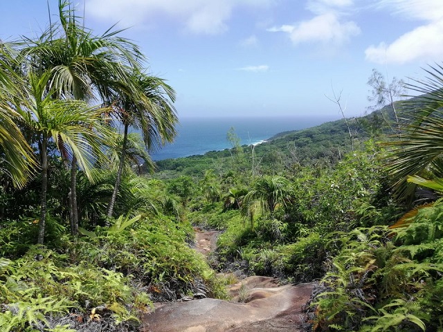 IDC to build airstrip on Desnoeufs Island in Seychelles, classified as Important Bird Area