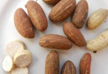 HEALTH BENEFITS AND USES OF BITTER KOLA