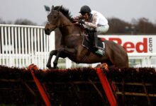 Cheltenham Day 1 Review: Constitution Hill and Honeysuckle shine