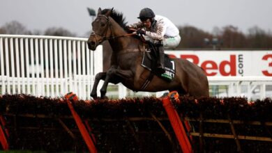 Cheltenham Day 1 Review: Constitution Hill and Honeysuckle shine