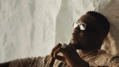 Ghanaian superstar Sarkodie enlists Nigeria’s Ink Boy for ‘One Million Cedis’: Watch