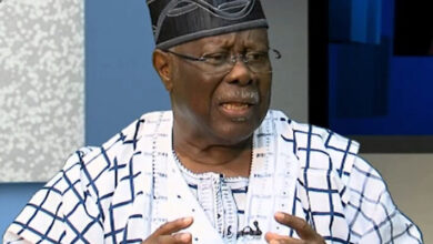Lagos Guber Election A Sham, Utter Disgrace To Democracy — Bode George