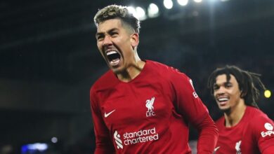 Van Dijk: Gakpo learning from the best in 'legend' Firmino