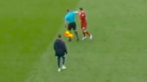 Assistant referee Robertson