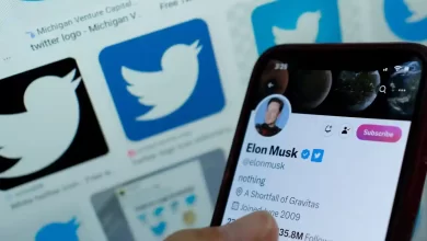 Elon Musk pays for Stephen King and LeBron James to keep Twitter blue ticks