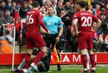 Hackett fears lino's career is in jeopardy for Robertson 'elbow'