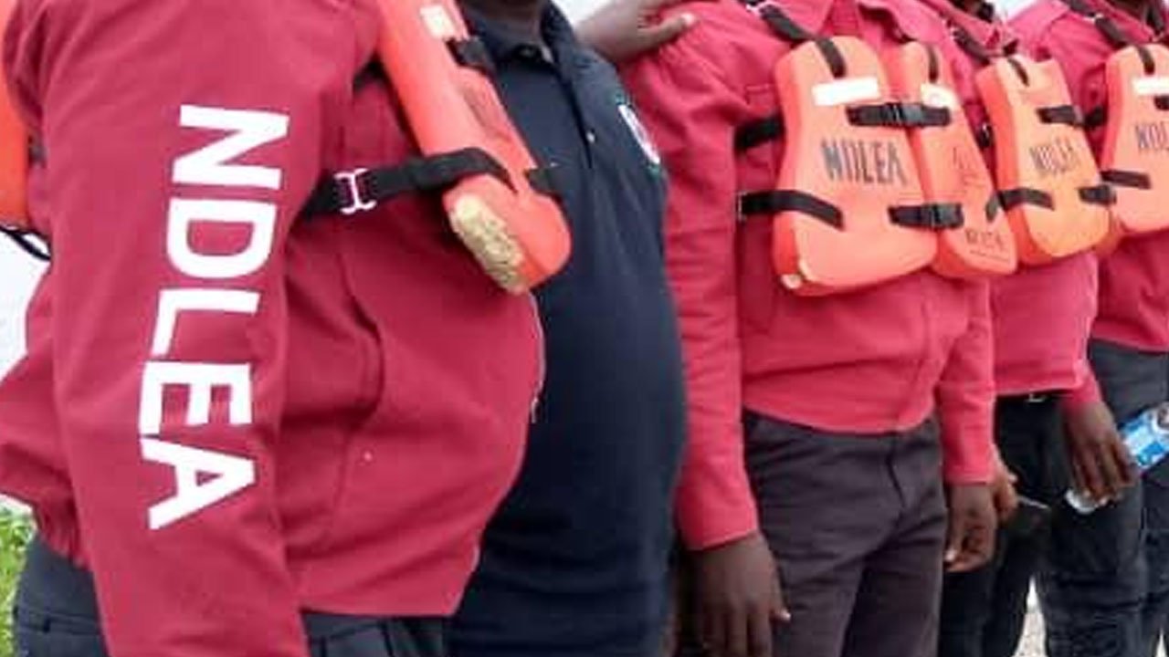 January to March: NDLEA convicts 37 drug peddlers in Kano