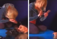 Viral Video: Titanic 2023’s climax has Rose and Jack fighting over mobile phone