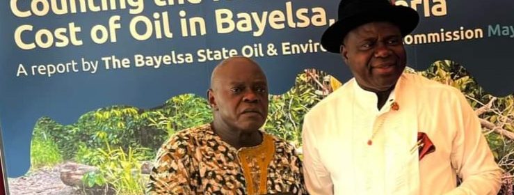 Nigeria needs $12 billion to clean up Bayelsa oil spills - report