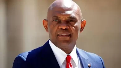 Tony Elumelu launches $3.5 million green entrepreneurship program to tackle climate crisis
