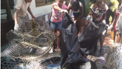 Lospitalite Tourism Clubs: Mont Fleuri School’s students clean up Round Island in Seychelles