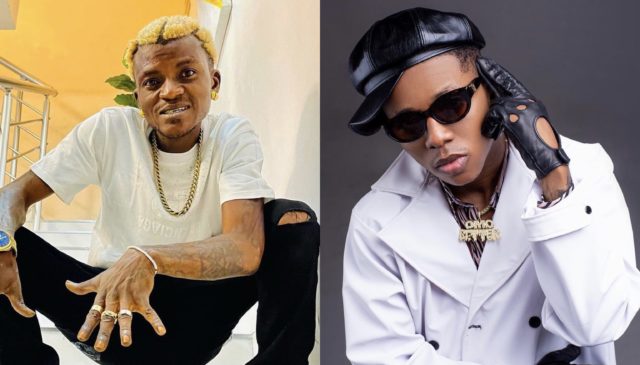 Portable and Small Doctor