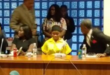 Mmesoma appears before Reps panel, begs JAMB