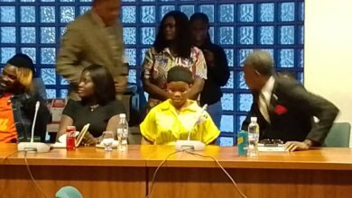 Mmesoma appears before Reps panel, begs JAMB