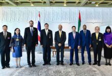 UAE humanitarian delegation visits Chad-based Emirati field hospital in Amdjarass