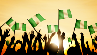 Independence Anniversary: PDP Urges National Reawakening