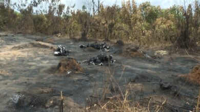 Fire kills 35 persons at Rivers illegal oil refining site