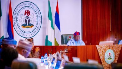 'I saw photo of my son' -- Tinubu warns Seyi against 'undue access' to FEC meeting