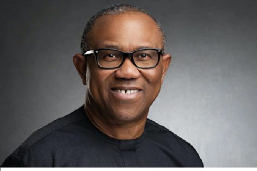 78f1dc4e-142f-44e4-a328-f15724fe63d4_peter-obi