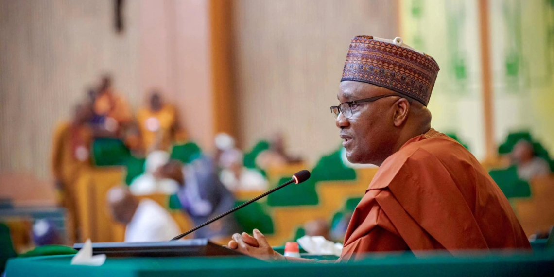 Reps at plenary (PHOTO CREDIT: @Speaker_Abbas, https://twitter.com/Speaker_Abbas/status/1793014169026879687/photo/3)