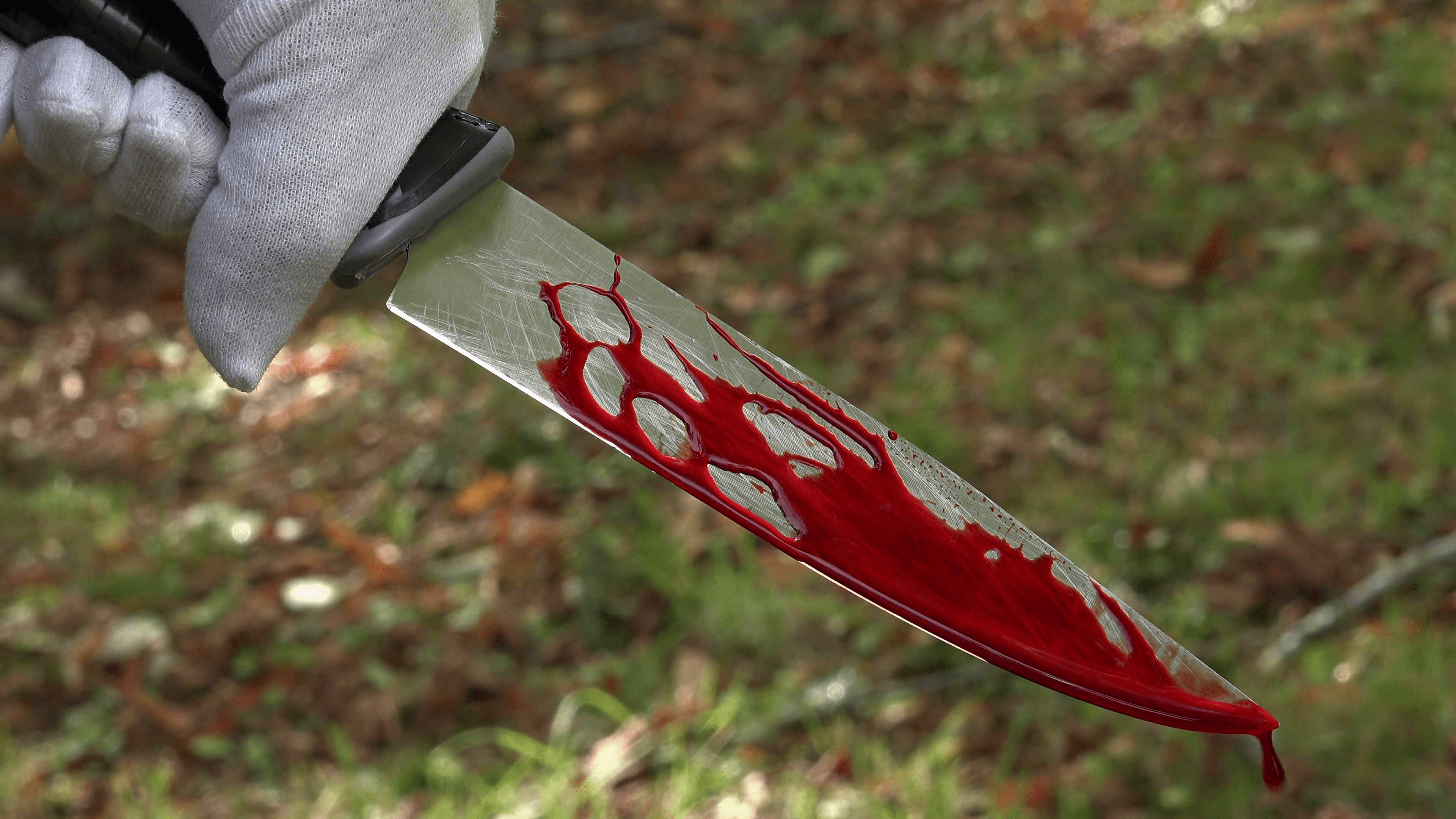 Hand holding knife with blood