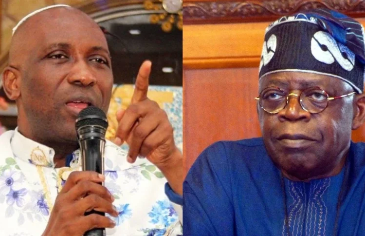 primate ayade 860x484 1